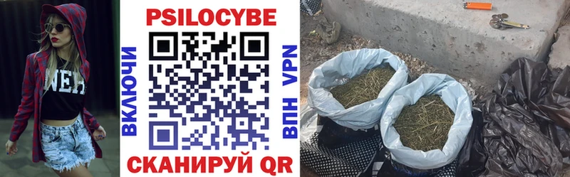 цены   Багратионовск  Галлюциногенные грибы Psilocybe 
